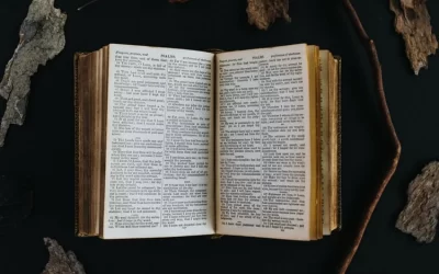 Post Editing and State of Post Editors Today